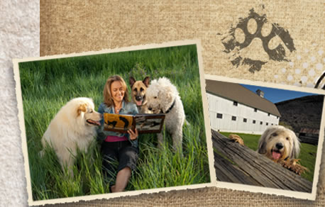 park city dogtown usa book
